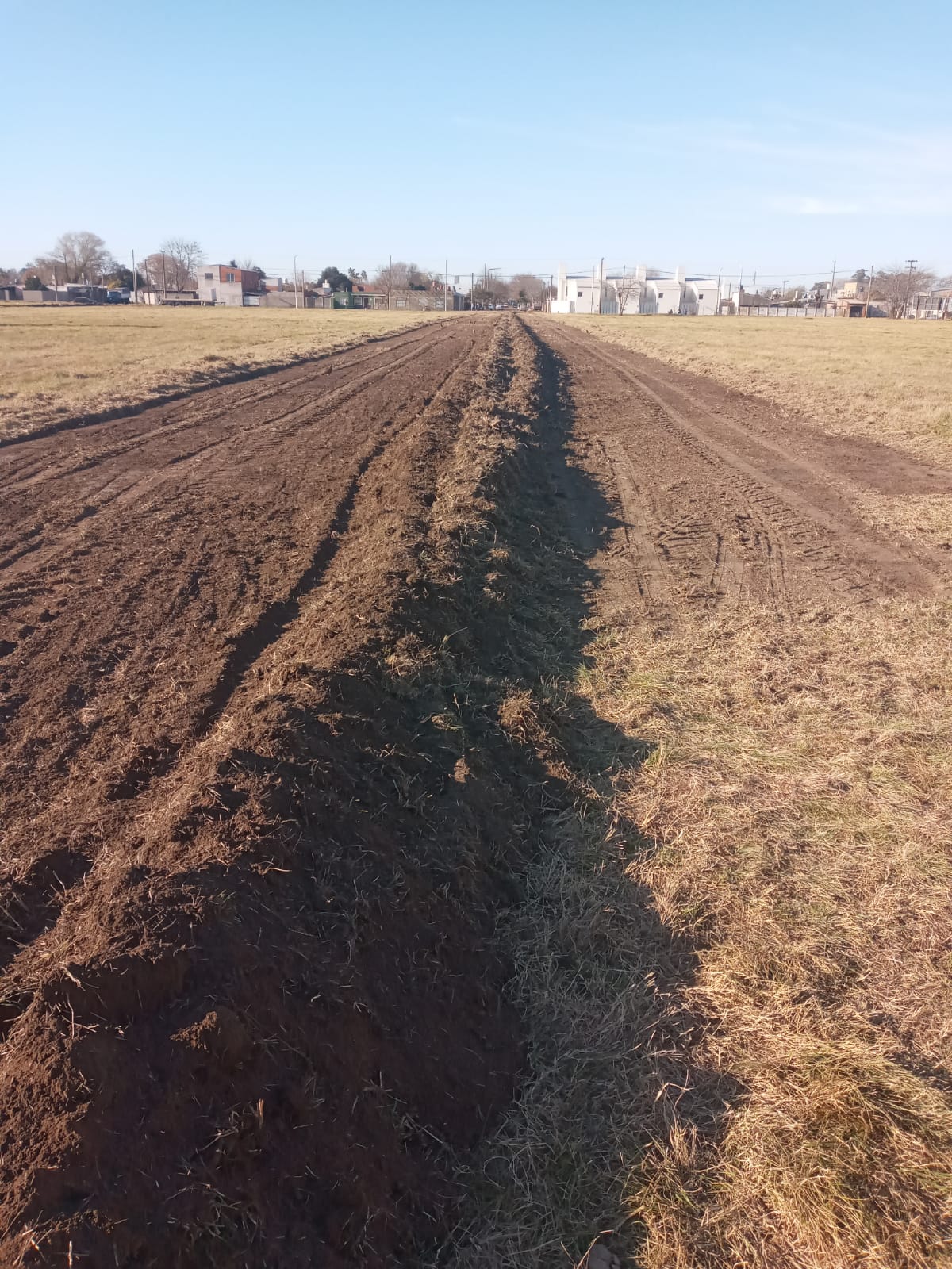 Apertura de calle principal y preparación de zanjeo para cordón cuneta